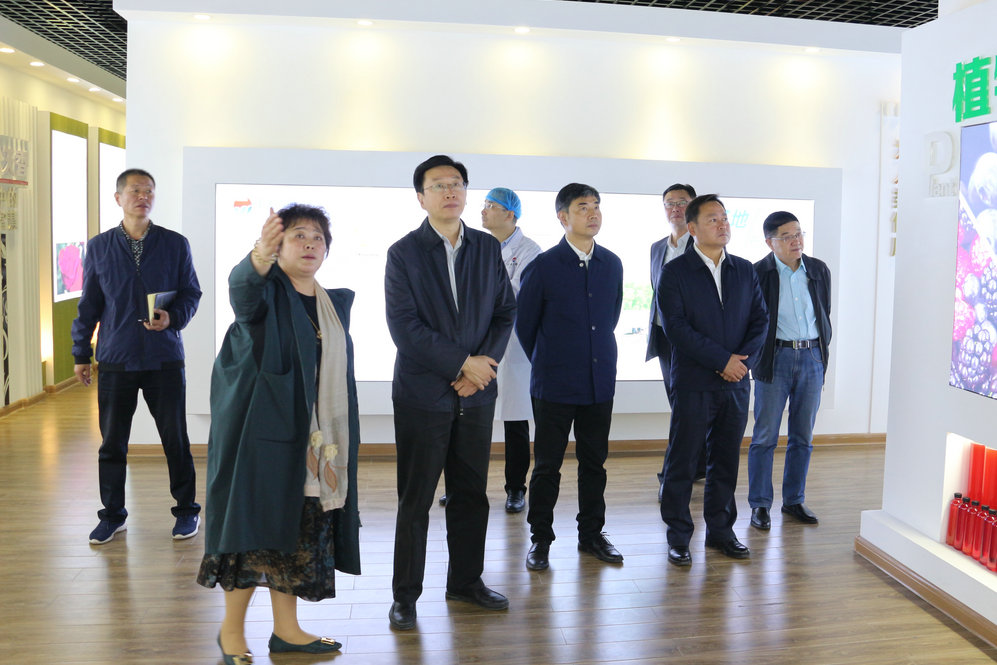 2020年11月2日省政府食安辦副主任，省市場監督管理局副局長王建防到公司調研指導工作.JPG